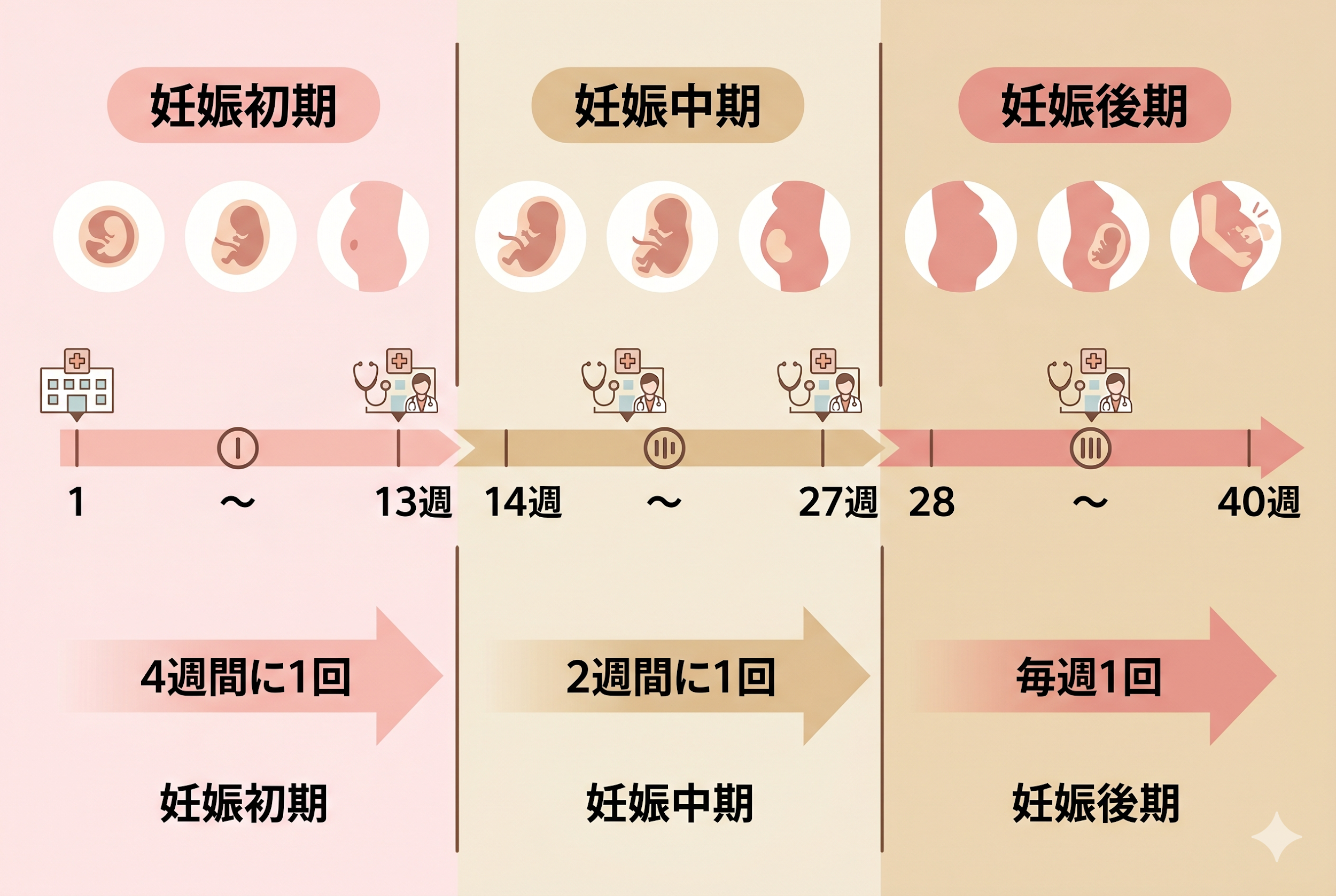 厚生労働省が推奨する標準的な健診回数は全14回