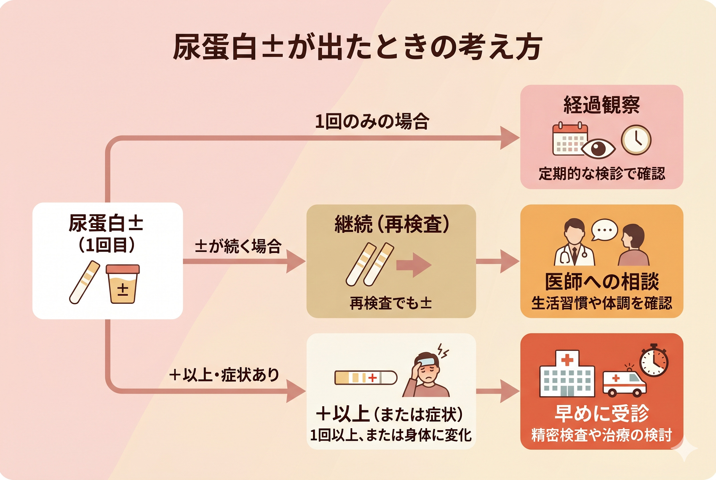 結論：尿蛋白（±）が出たときの考え方