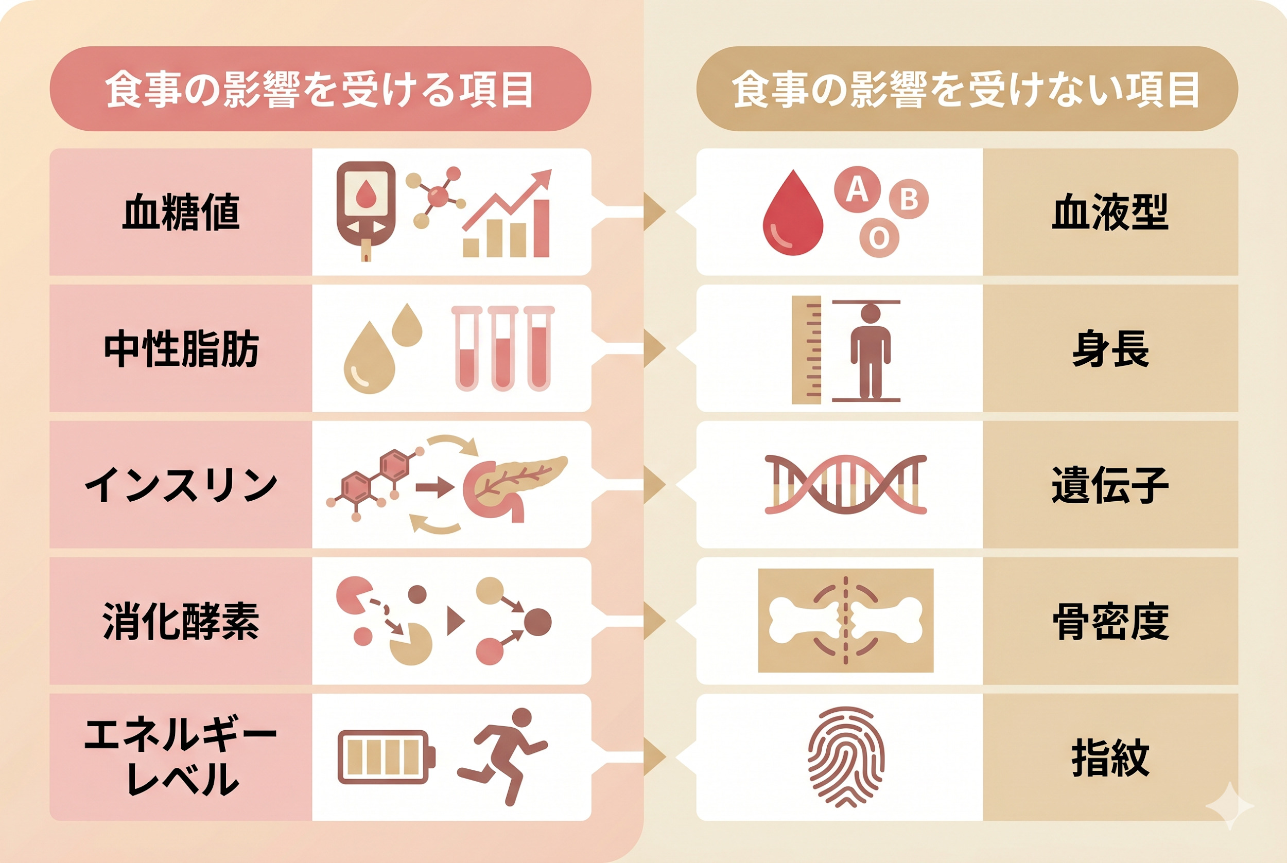 食事の影響を受ける項目と食事の影響を受けない項目