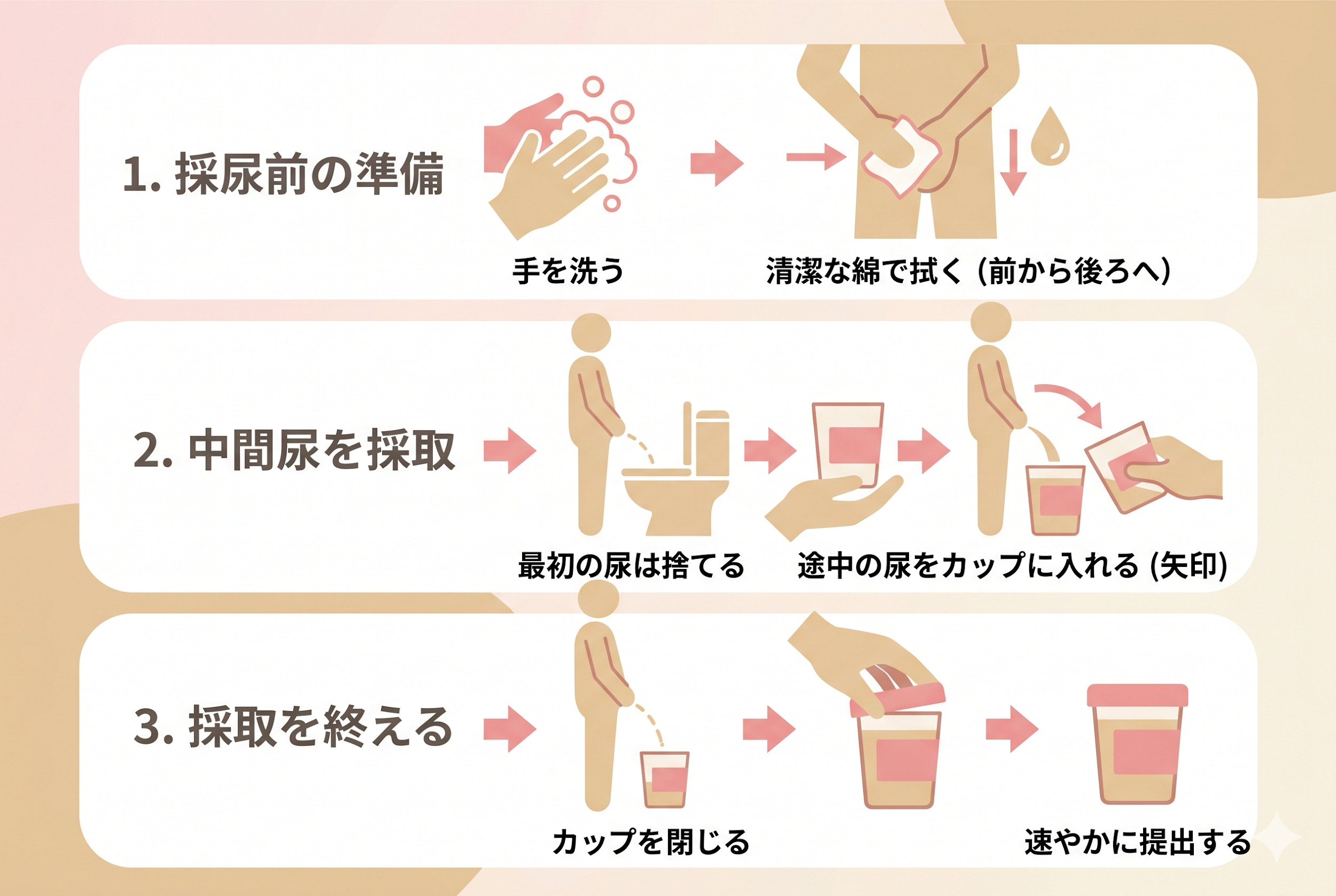 中間尿の正しい取り方
