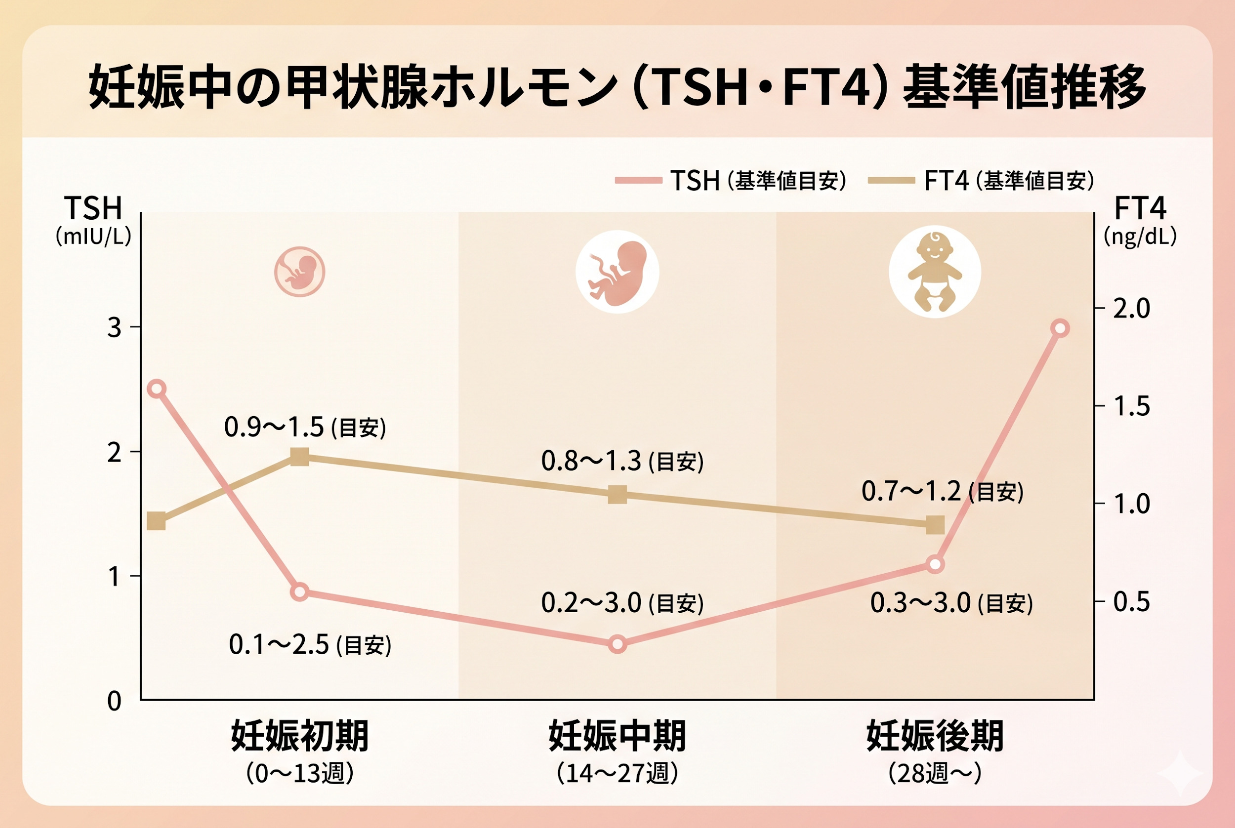 妊娠期特異的基準値（trimester別）の早見表