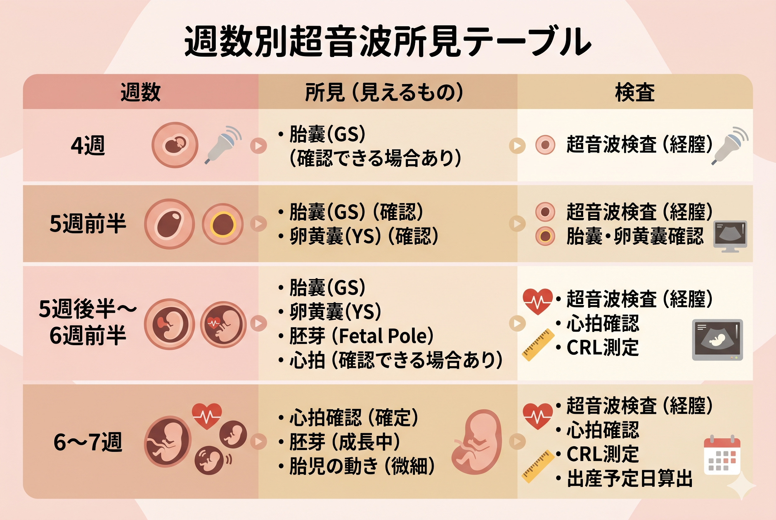 娠4〜7週で経腟超音波に見えるもの（週数別所見）