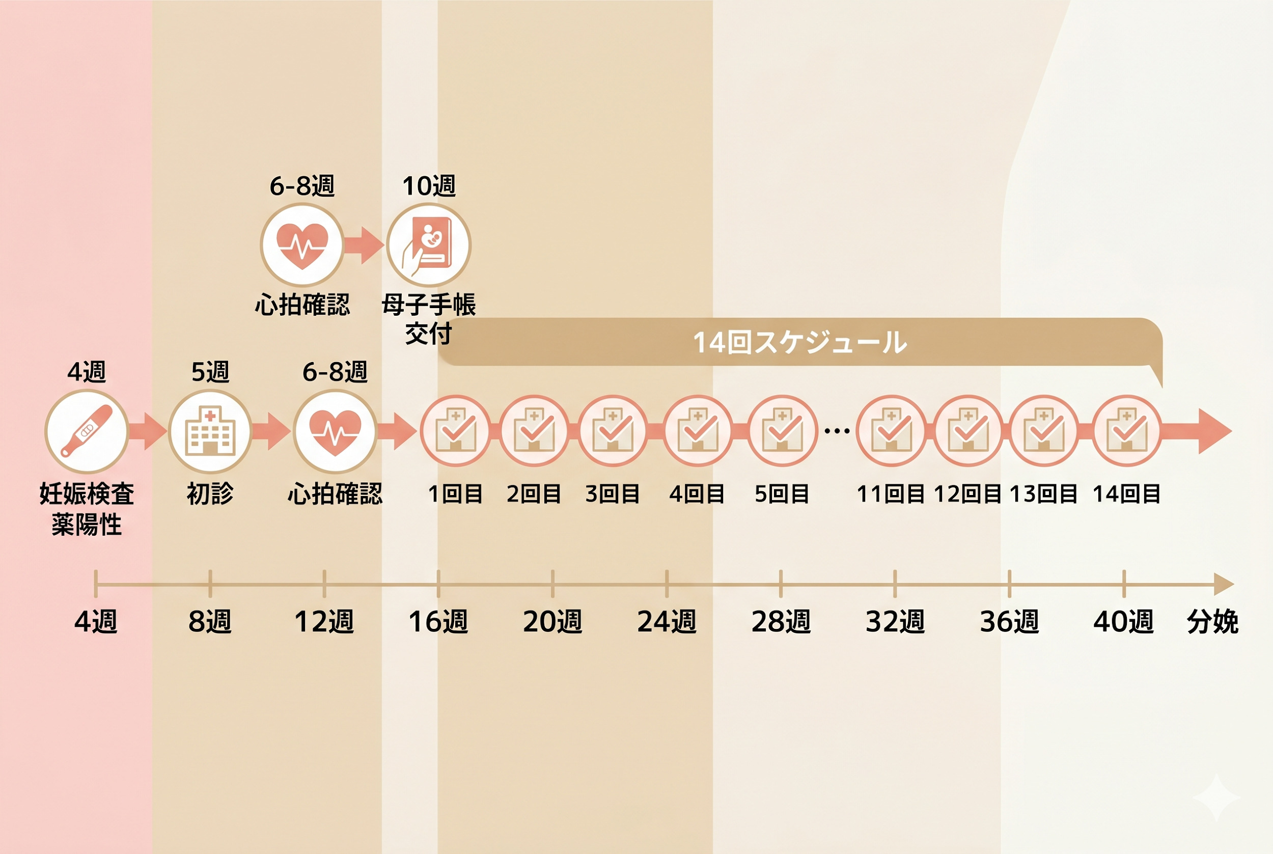 妊娠検査薬陽性から母子手帳交付までの完全タイムライン