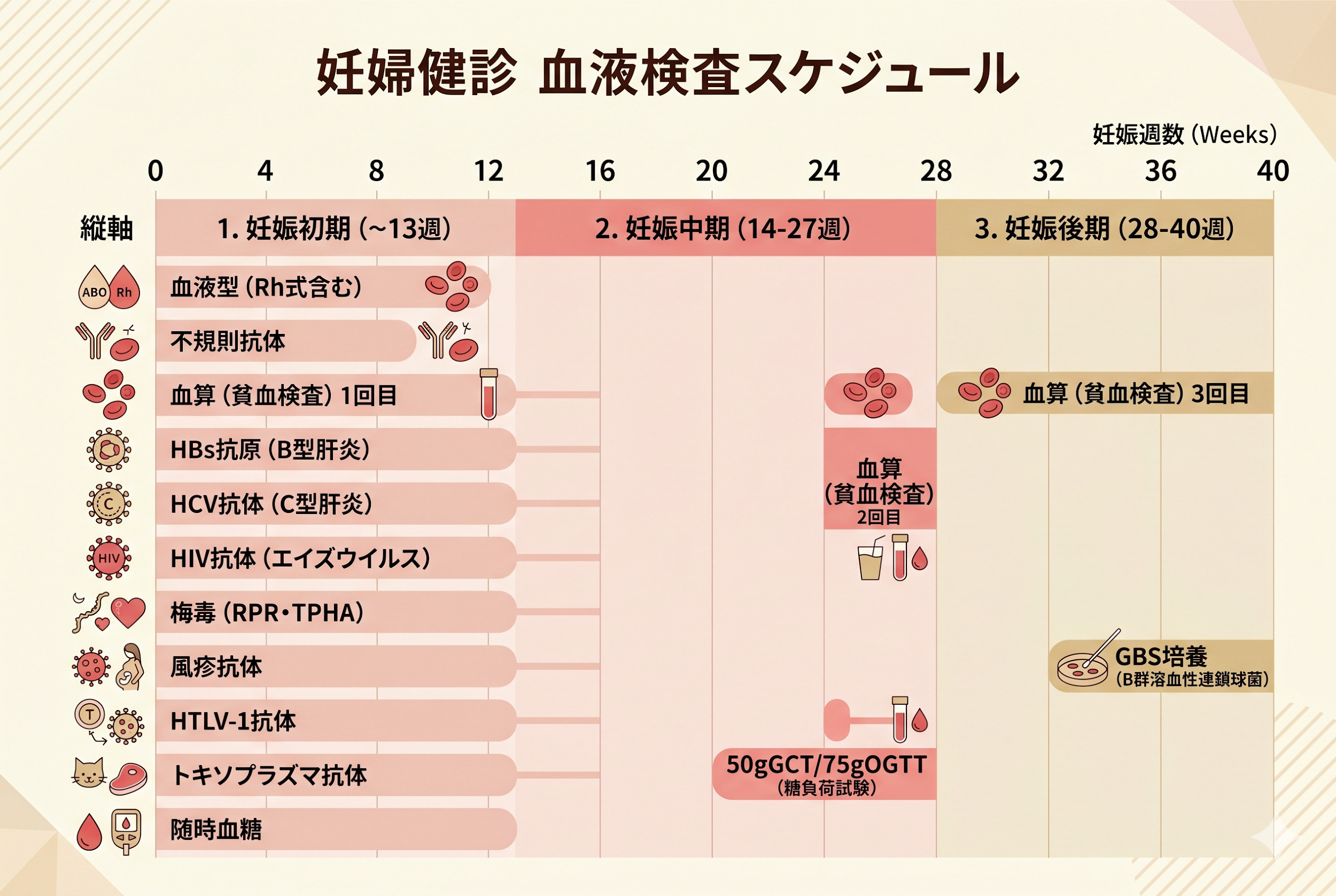 妊婦健診の血液検査スケジュール（初期・中期・後期）