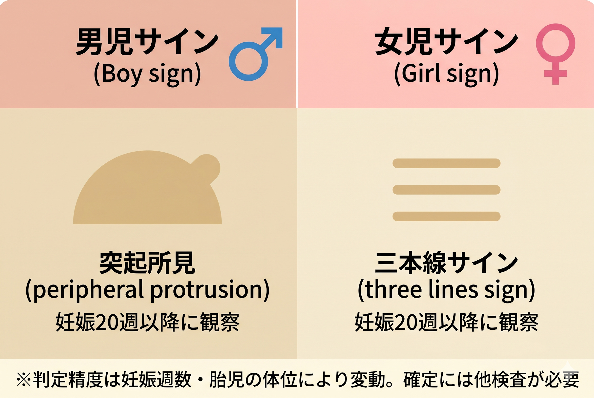 男女別の見え方の違い